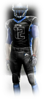 Mustangs history